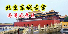 美国一级片羞羞答答视频免费观看中国北京-东城古宫旅游风景区